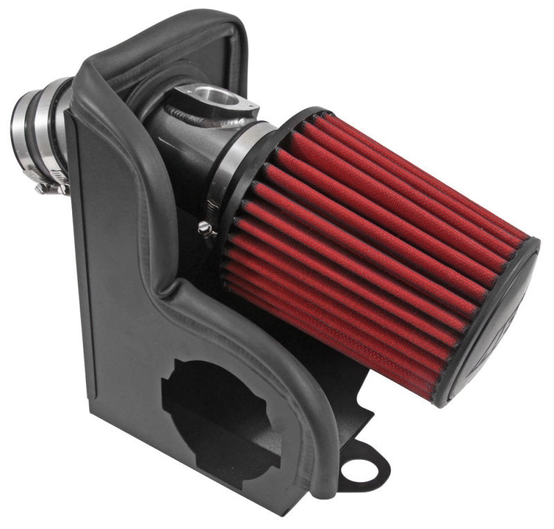 AEM IND Cold Air Intakes (21-805C)